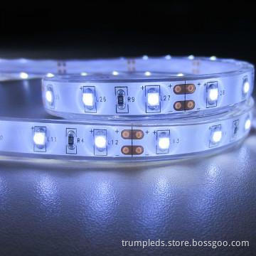 SMD Waterproof 3528 LED Flexible Strip 24v White 5m/roll